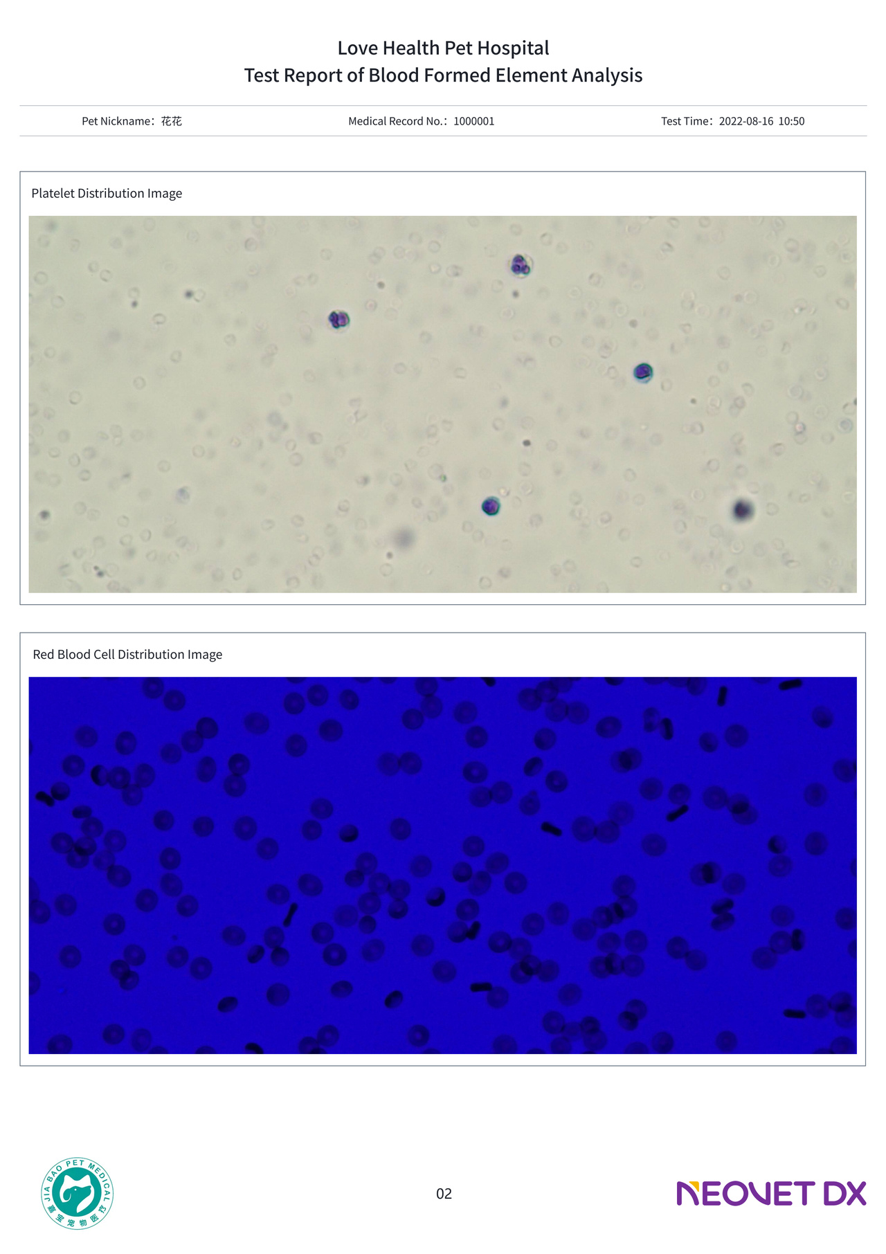 AI morfologisk analysator